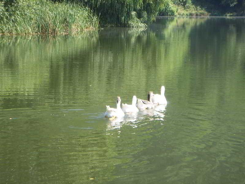The Lake Villa Smolyan Bagian luar foto